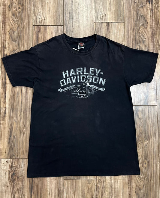 Vintage New River Gorge Harley Davidson T-Shirt (XXL)
