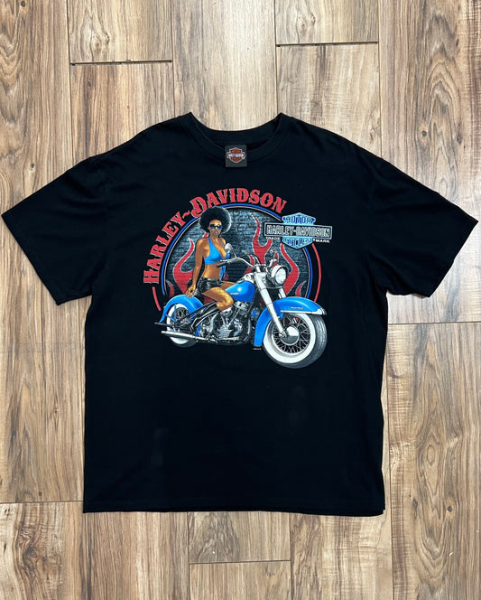 Vintage Patriot Fairfax, VA Harley Davidson T-shirt (XL)