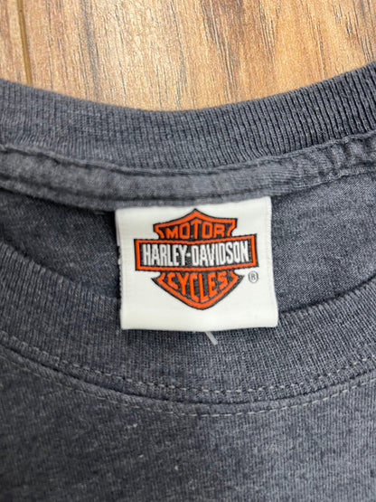 Vintage Cape Cod Harley-Davidson long Sleeve (XXL)