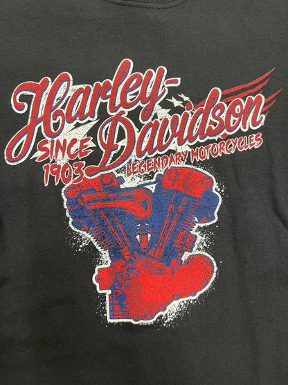 Vintage Barnett Harley-Davidson T-shirt (XXL)