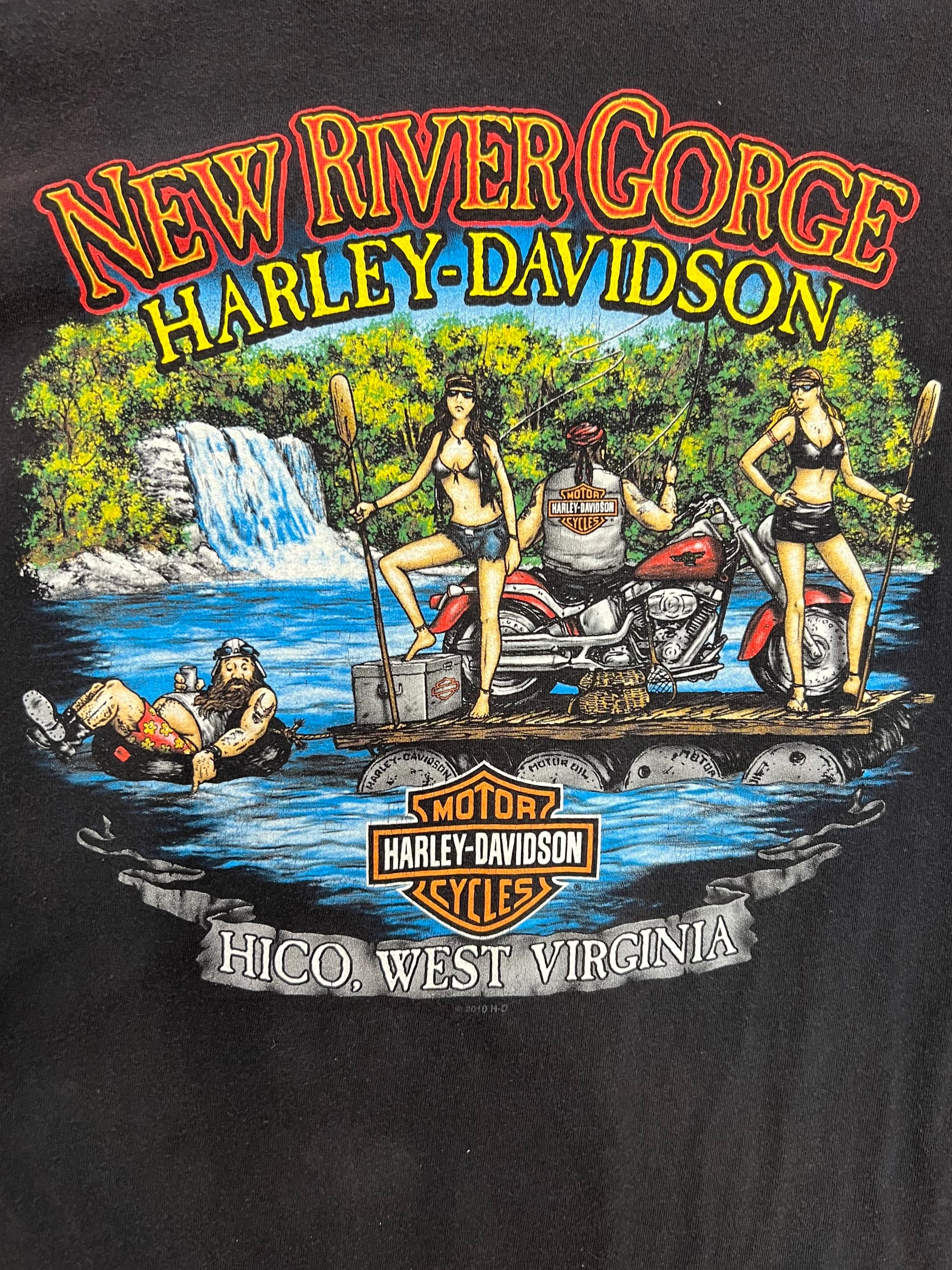 Vintage New River Gorge Harley Davidson T-Shirt (XXL)