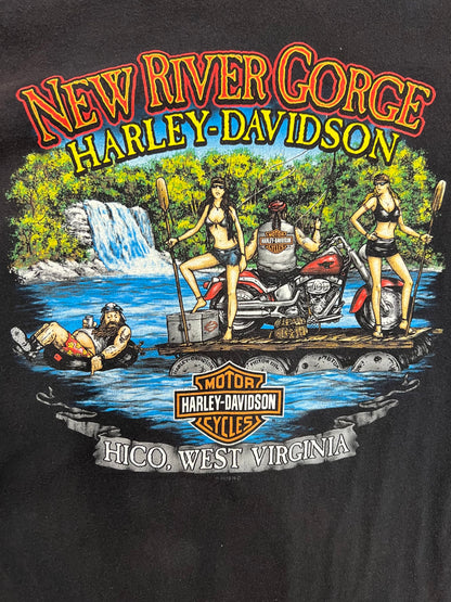 Vintage New River Gorge Harley Davidson T-Shirt (XXL)