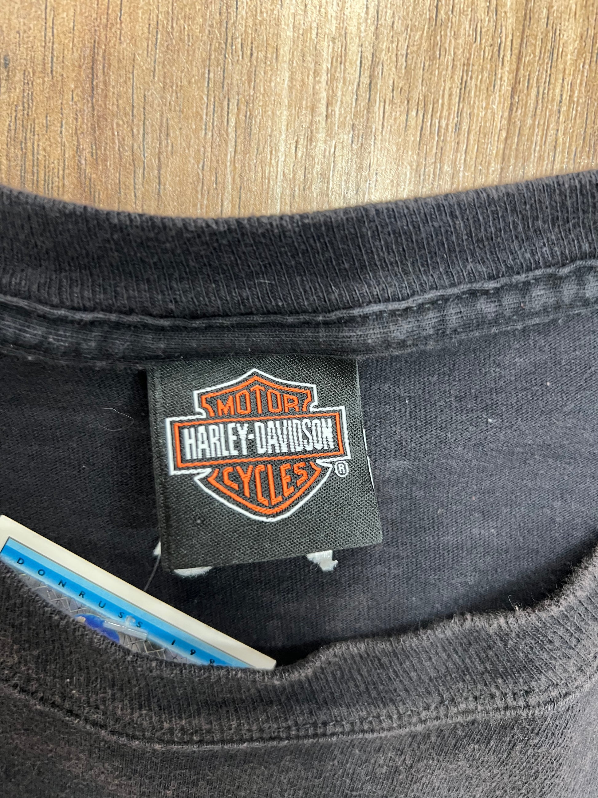 Vintage New River Gorge Harley Davidson T-Shirt (XXL)