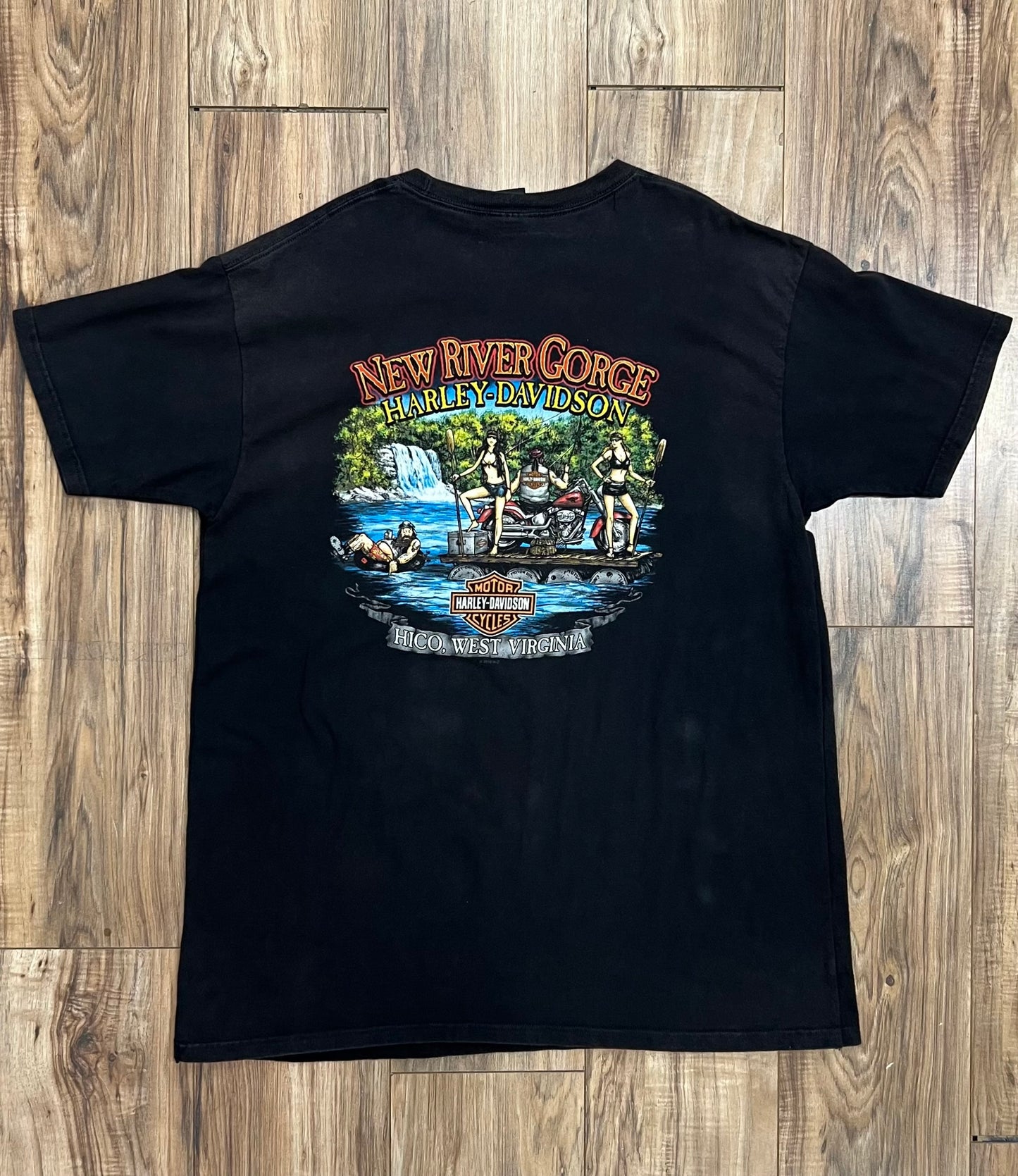 Vintage New River Gorge Harley Davidson T-Shirt (XXL)
