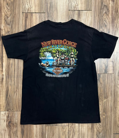 Vintage New River Gorge Harley Davidson T-Shirt (XXL)