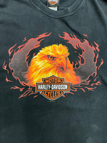 Vintage Schaeffer's Harley-Davidson T-shirt (XL)