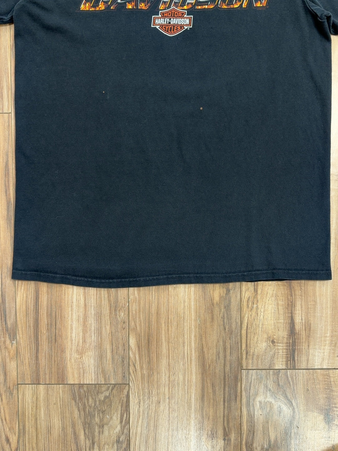 00s Harley Davidson Okoboii, Iowa Tee (L)