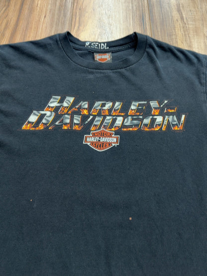 00s Harley Davidson Okoboii, Iowa Tee (L)