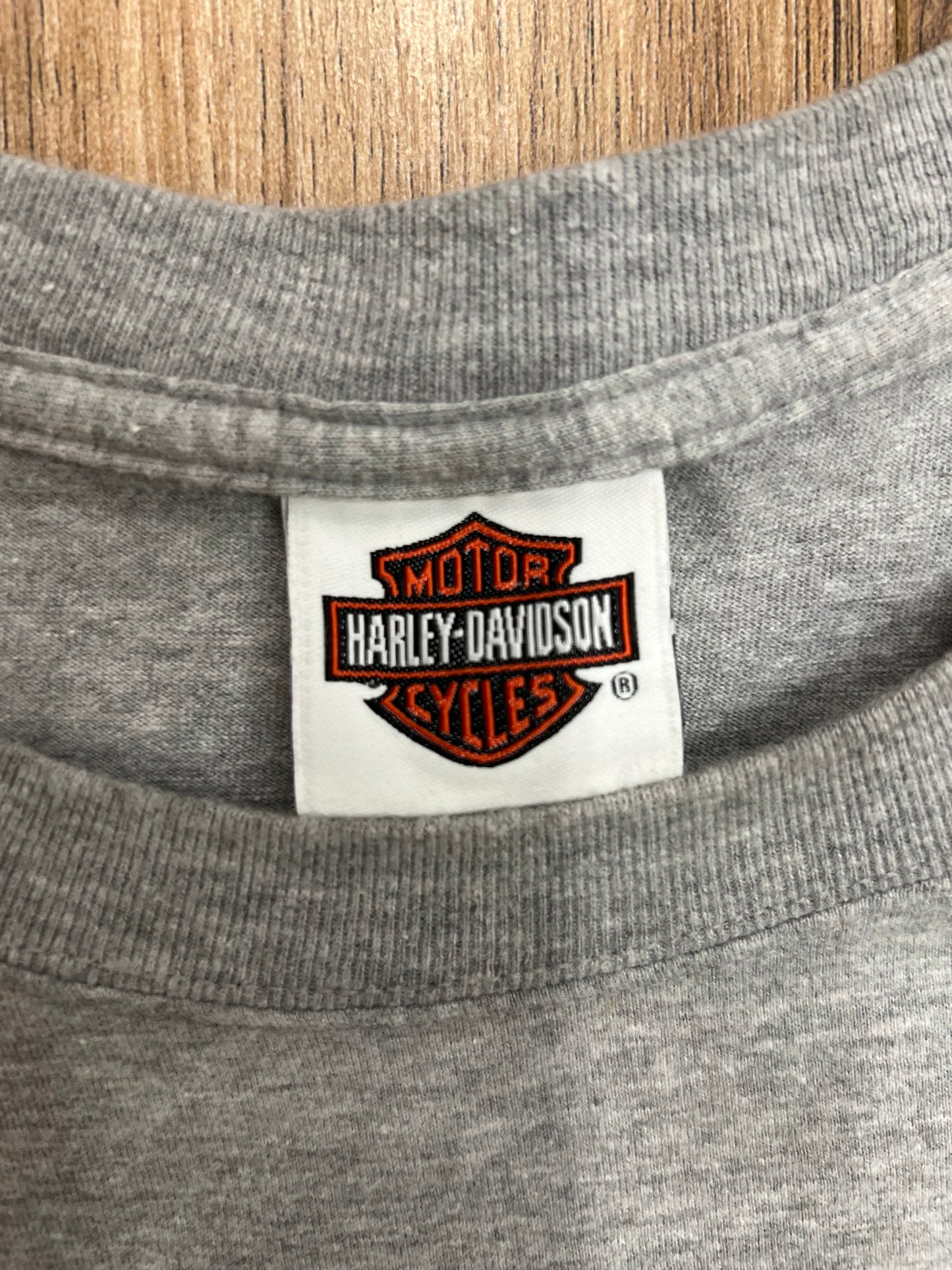 Vintage Salt Lake City Harley Davidson T-shirt (XXL)