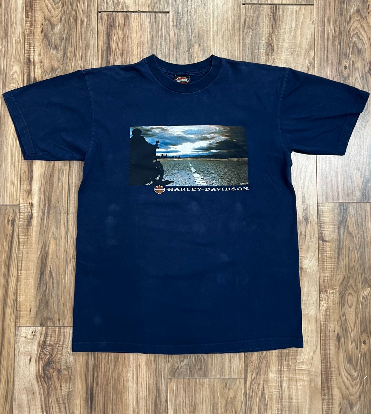 Vintage Mike's Famous Harley-Davidson T-shirt (XL)