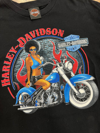 Vintage Patriot Fairfax, VA Harley Davidson T-shirt (XL)