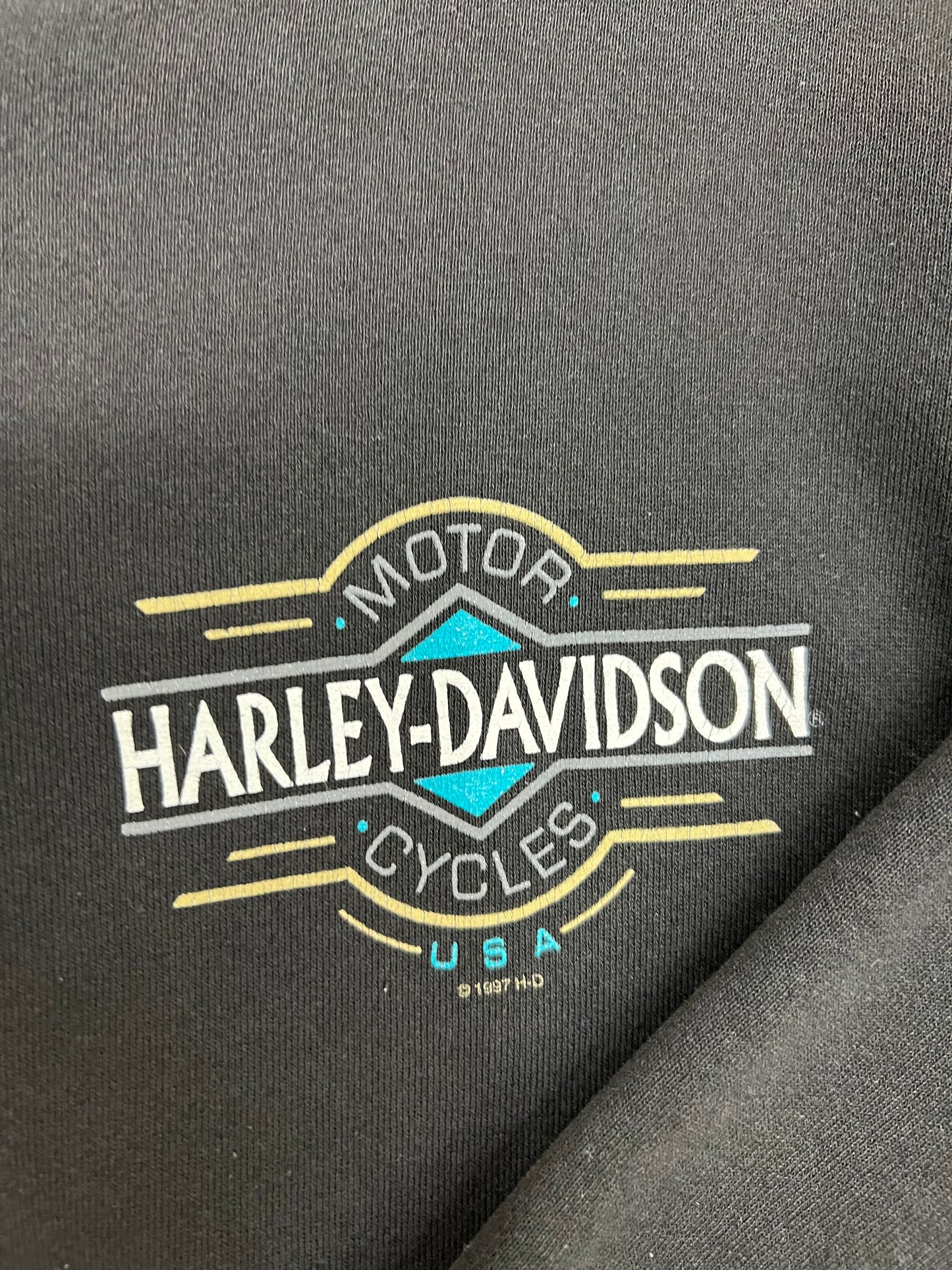 Vintage Geneva Harley Davidson Zip-Up (L)