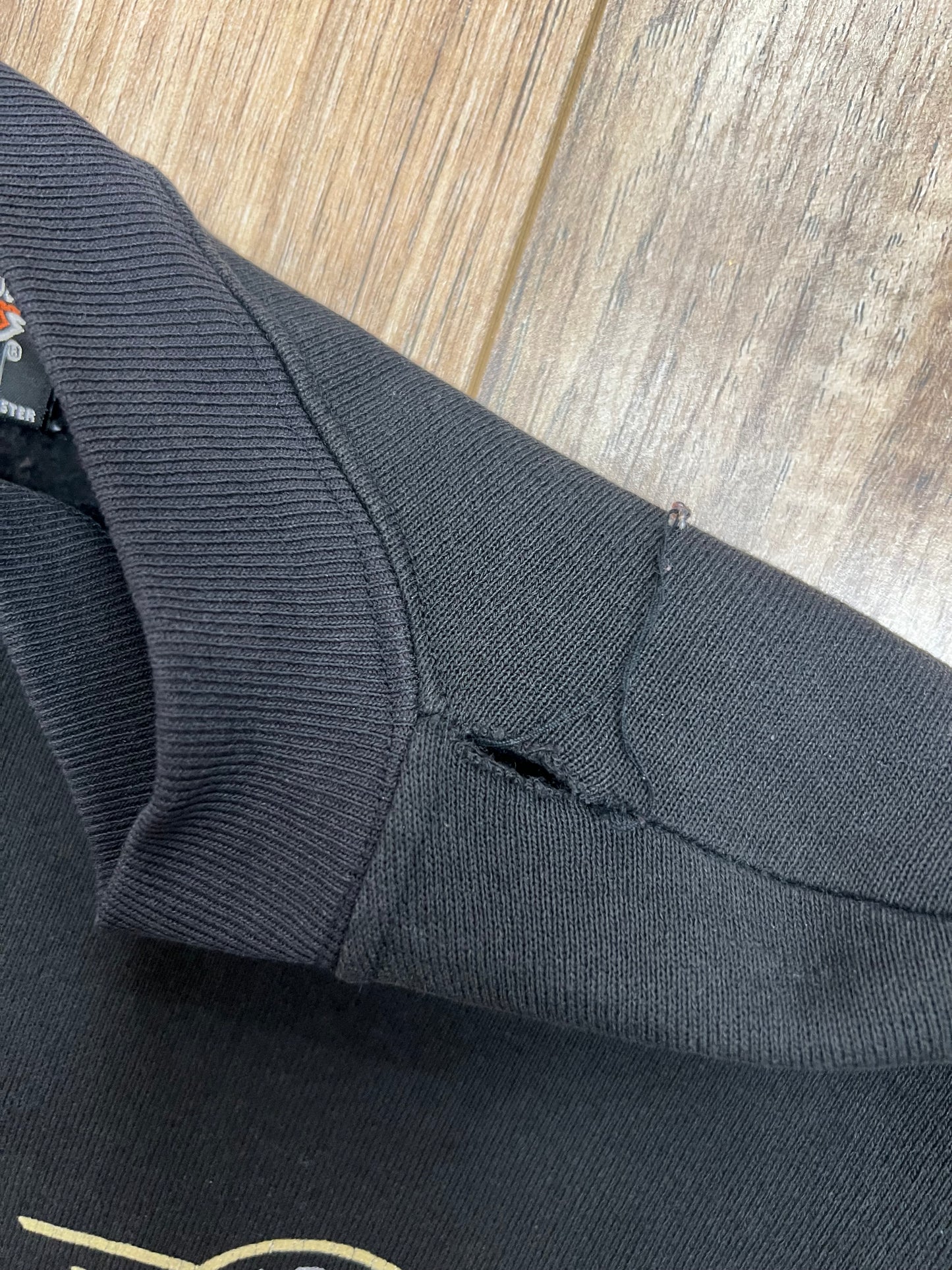 Vintage Geneva Harley Davidson Zip-Up (L)