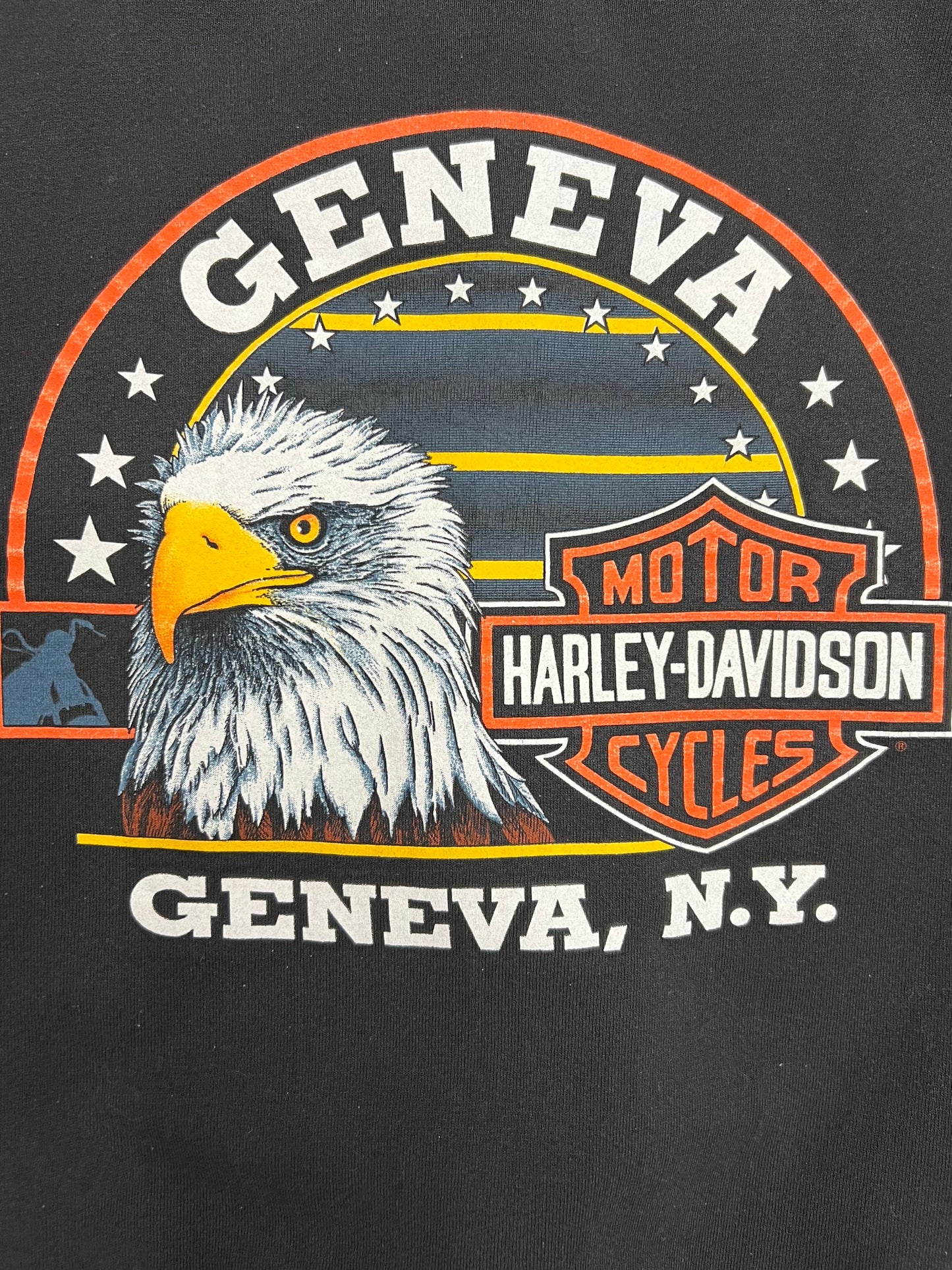 Vintage Geneva Harley Davidson Zip-Up (L)