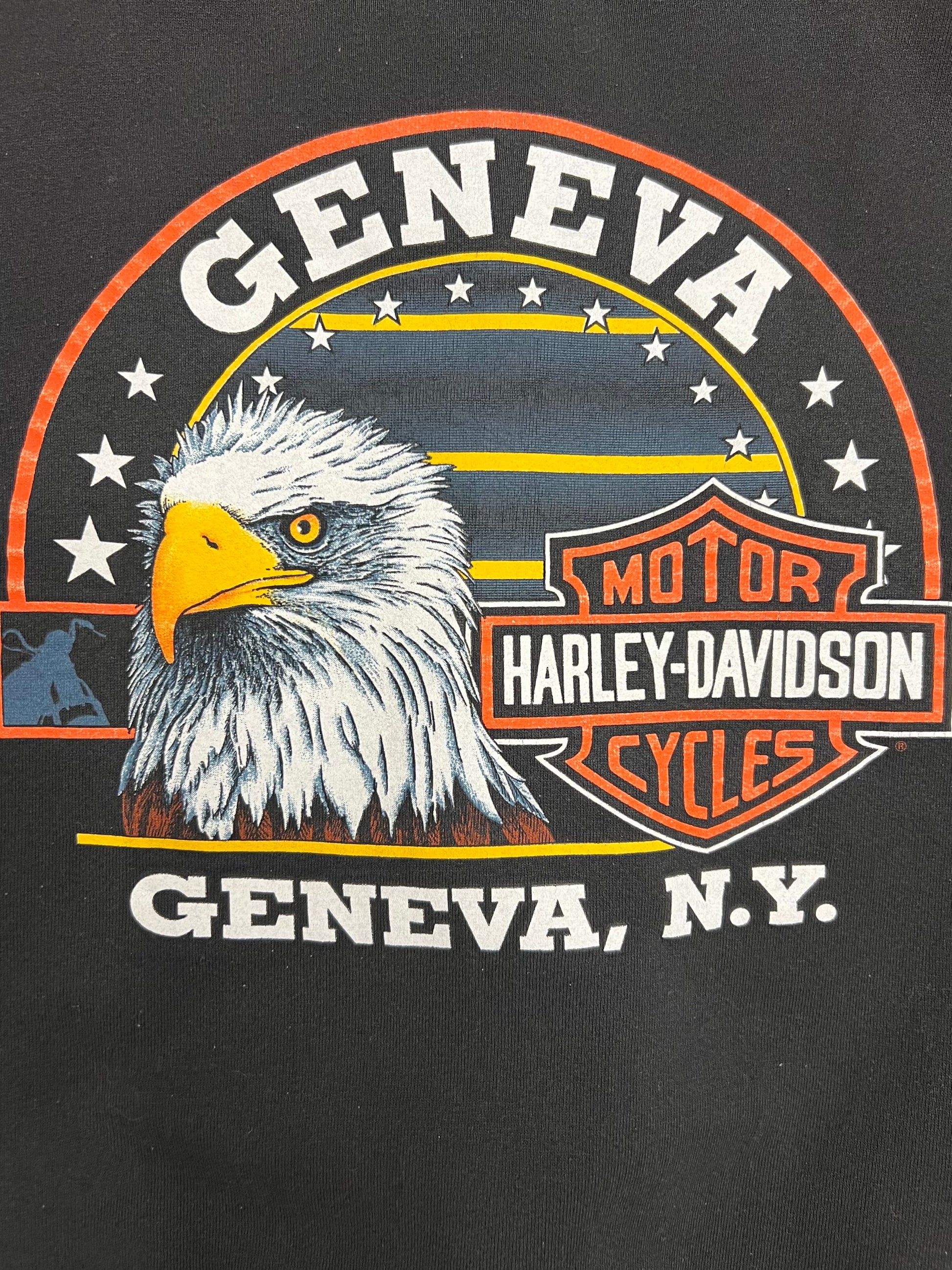 Vintage Geneva Harley Davidson Zip-Up (L)